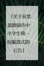 关于征集景德镇市中小学生统一校服款式的公告