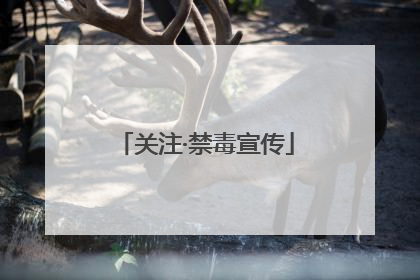 关注·禁毒宣传