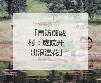 再访前戚村：庭院开出浪漫花