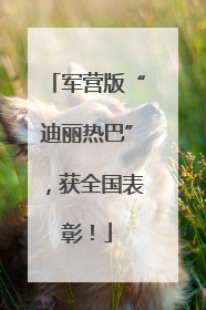 军营版“迪丽热巴”，获全国表彰！