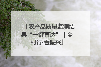 农产品质量监测结果“一键直达”｜乡村行·看振兴