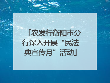 农发行衡阳市分行深入开展“民法典宣传月”活动