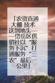 农资直通大棚 技术送到地头——岱岳区供销社以“服务下沉”打通服务“三农”最后一公里