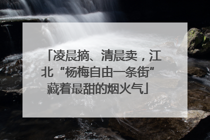 凌晨摘、清晨卖，江北“杨梅自由一条街”藏着最甜的烟火气
