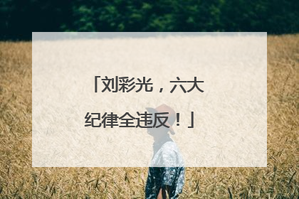 刘彩光，六大纪律全违反！