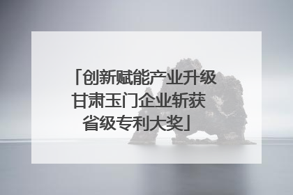 创新赋能产业升级 甘肃玉门企业斩获省级专利大奖
