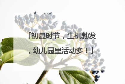 初夏时节，生机勃发，幼儿园里活动多！