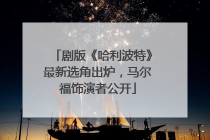 剧版《哈利波特》最新选角出炉，马尔福饰演者公开