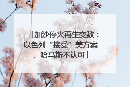 加沙停火再生变数：以色列“接受”美方案、哈马斯不认可