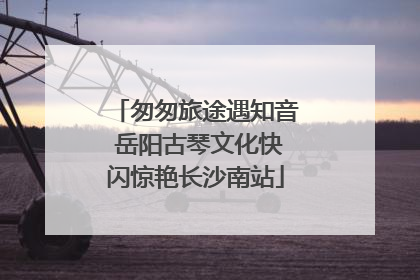 匆匆旅途遇知音 岳阳古琴文化快闪惊艳长沙南站