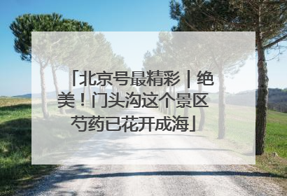 北京号最精彩｜绝美！门头沟这个景区芍药已花开成海