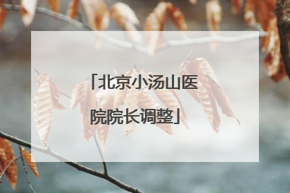 北京小汤山医院院长调整