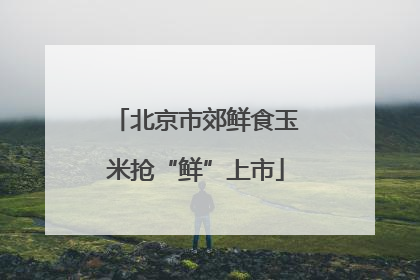 北京市郊鲜食玉米抢“鲜”上市