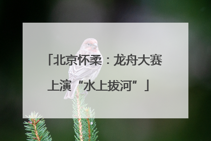 北京怀柔：龙舟大赛上演“水上拔河”