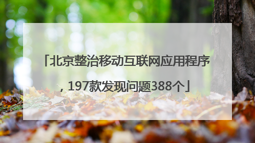 北京整治移动互联网应用程序，197款发现问题388个