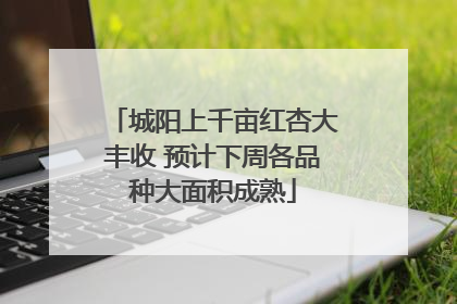 城阳上千亩红杏大丰收 预计下周各品种大面积成熟
