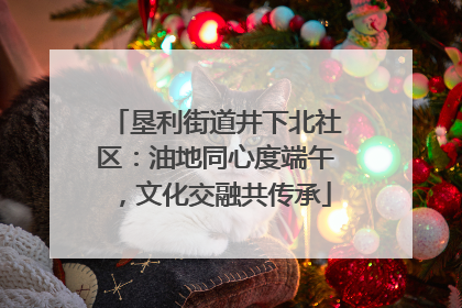 垦利街道井下北社区：油地同心度端午，文化交融共传承