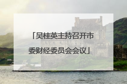 吴桂英主持召开市委财经委员会会议