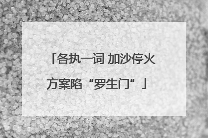 各执一词 加沙停火方案陷“罗生门”