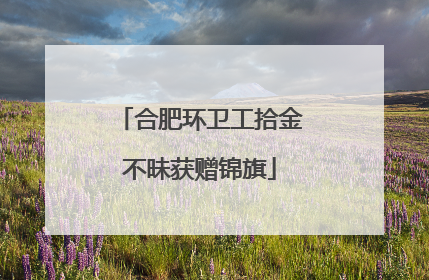 合肥环卫工拾金不昧获赠锦旗