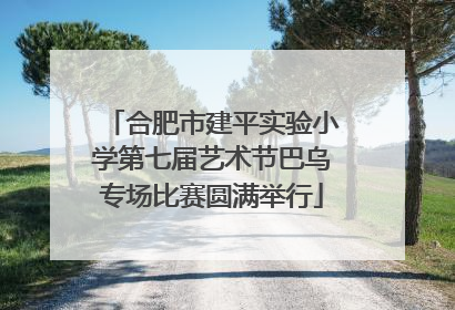合肥市建平实验小学第七届艺术节巴乌专场比赛圆满举行