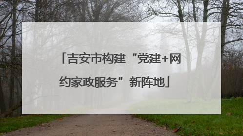 吉安市构建“党建+网约家政服务”新阵地
