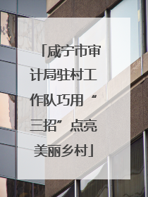 咸宁市审计局驻村工作队巧用“三招”点亮美丽乡村