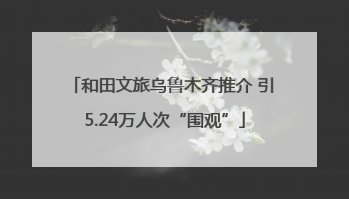 和田文旅乌鲁木齐推介 引5.24万人次“围观”