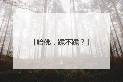 哈佛，跪不跪？