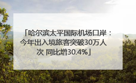 哈尔滨太平国际机场口岸：今年出入境旅客突破30万人次 同比增30.4%