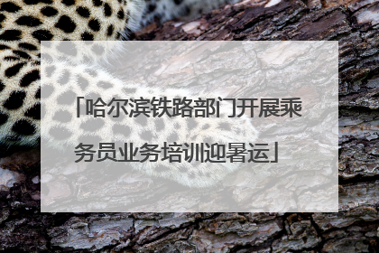 哈尔滨铁路部门开展乘务员业务培训迎暑运