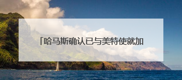 哈马斯确认已与美特使就加沙停火总体框架达成协议