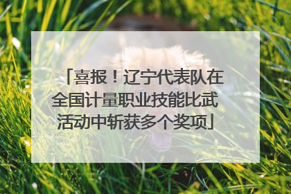 喜报！辽宁代表队在全国计量职业技能比武活动中斩获多个奖项