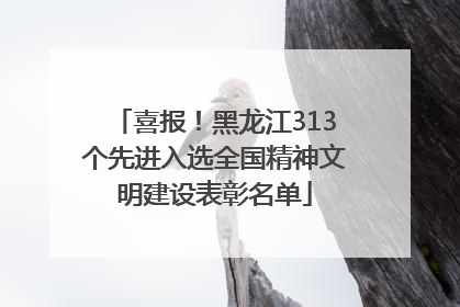 喜报！黑龙江313个先进入选全国精神文明建设表彰名单