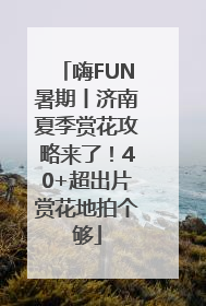 嗨FUN暑期丨济南夏季赏花攻略来了！40+超出片赏花地拍个够