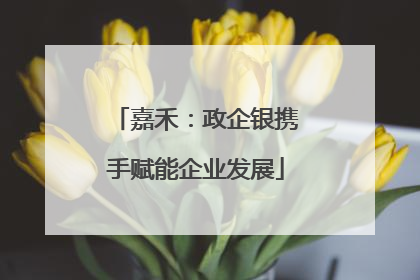 嘉禾：政企银携手赋能企业发展
