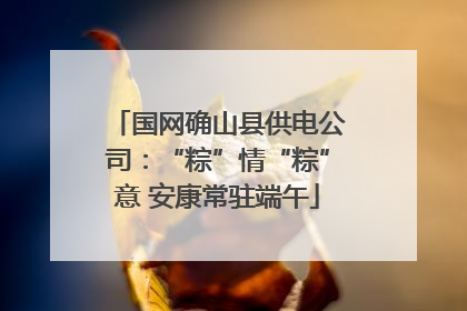 国网确山县供电公司：“粽”情“粽”意 安康常驻端午