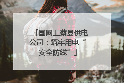 国网上蔡县供电公司：筑牢用电“安全防线”