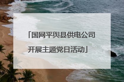 国网平舆县供电公司开展主题党日活动