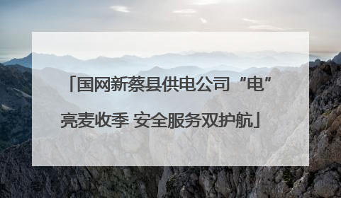 国网新蔡县供电公司“电”亮麦收季 安全服务双护航