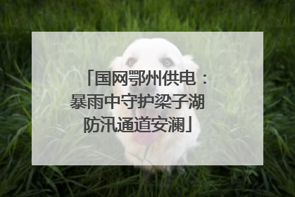 国网鄂州供电：暴雨中守护梁子湖防汛通道安澜