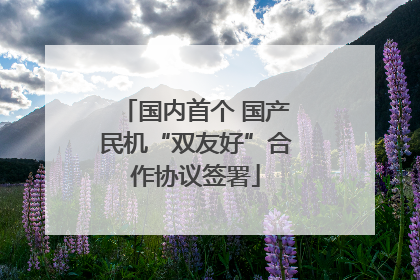 国内首个 国产民机“双友好”合作协议签署