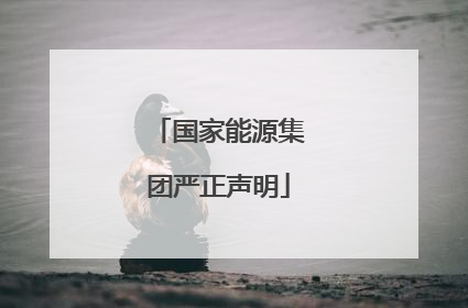 国家能源集团严正声明