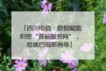 四川电信：数智赋能织密“普遍服务网”，绘就巴蜀新画卷