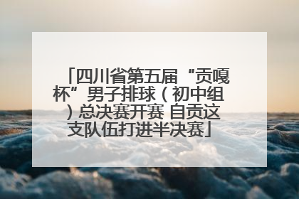 四川省第五届“贡嘎杯”男子排球（初中组）总决赛开赛 自贡这支队伍打进半决赛