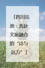 四川岳池：奔赴文旅融合的“诗与远方”