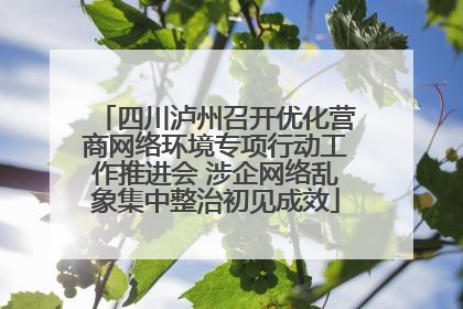 四川泸州召开优化营商网络环境专项行动工作推进会 涉企网络乱象集中整治初见成效