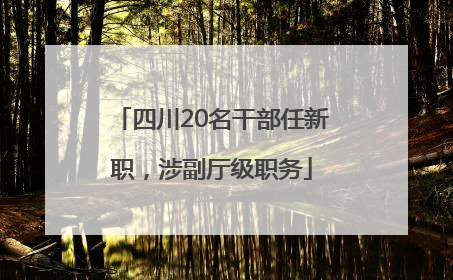 四川20名干部任新职，涉副厅级职务