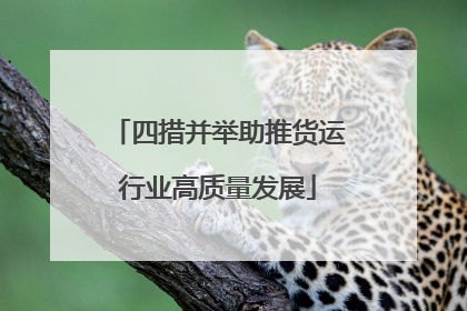 四措并举助推货运行业高质量发展