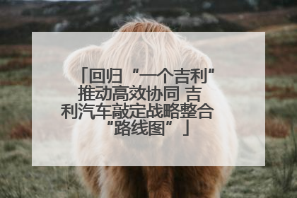 回归“一个吉利” 推动高效协同 吉利汽车敲定战略整合“路线图”